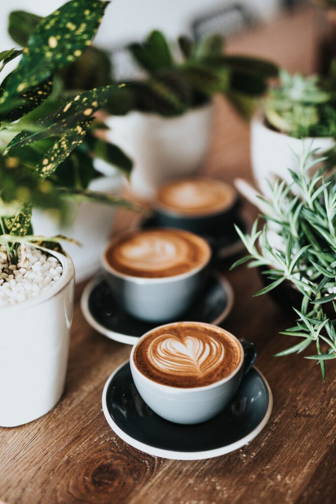 Two cups of coffee nestled on a table amongst plants