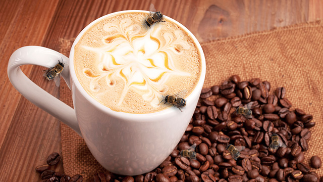 coffee surrounding a coffee cup