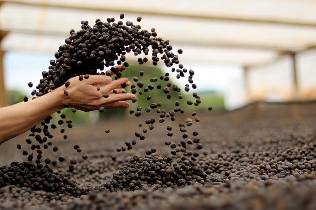 coffee beans being thrown in the air